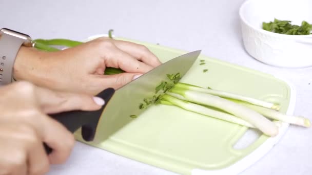 Mujer corte a mano cebollas verdes en la tabla de cortar, concepto de cocinar en casa — Vídeo de stock