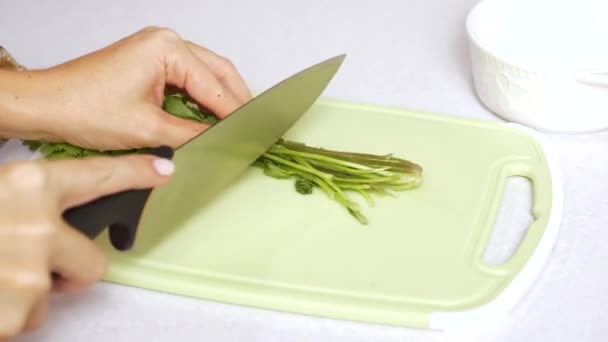 Donna mano taglio verde Cilantro sul tagliere, concetto di cucina a casa — Video Stock