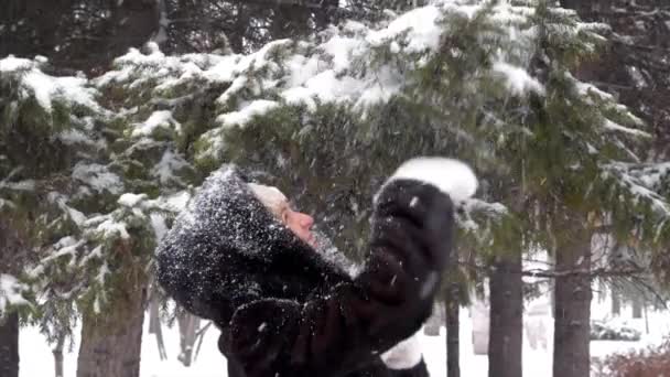 Feliz jovem mulher brincando com neve coberto abeto árvore ramo e se divertindo — Vídeo de Stock