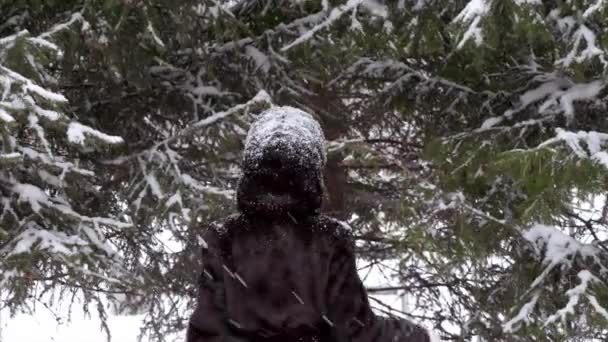 Retrato de la mujer sonriente feliz en el parque de invierno cubierto de nieve con abetos — Vídeo de stock