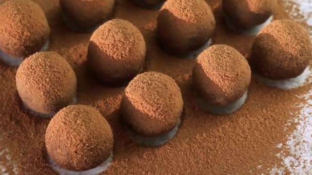 Close-up van zelfgemaakte rauwe veganistische energie ballen met cacao poeder liggend in een rij — Stockvideo