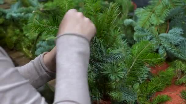 Las manos de las mujeres hacen coronas de Navidad de ramas de abeto, taller de grupo — Vídeos de Stock