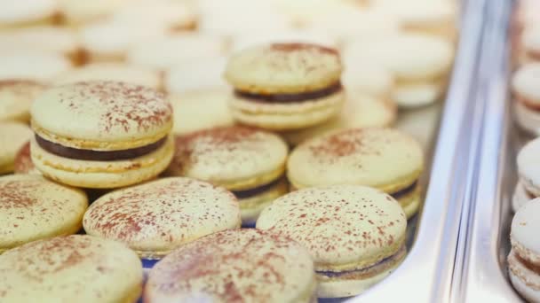 Κοντινό πλάνο των διαφοροποιημένων Macarons Cookies Επιδόρπιο στο αρτοποιείο — Αρχείο Βίντεο