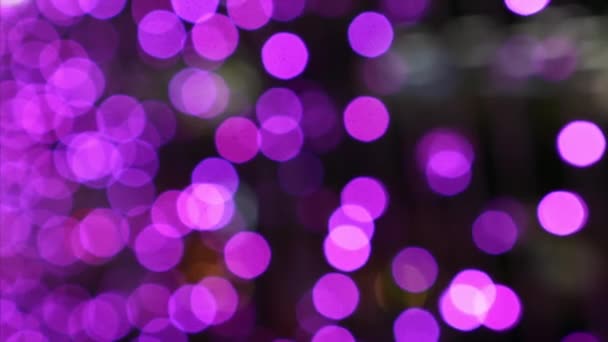 Violet abstrait flous lumières festives fond Bokeh à l'extérieur — Video