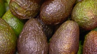 Close Up of Ripe Fresh Avocados in Row at the Grocery Store