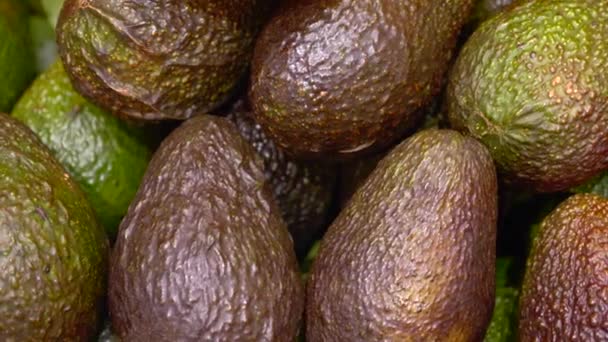 Primer plano de aguacates frescos maduros en fila en la tienda de comestibles — Vídeo de stock