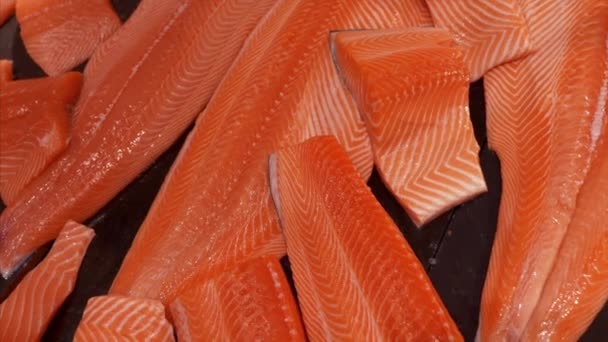 Primer plano del filete de salmón fresco en exhibición en la tienda de comestibles — Vídeo de stock