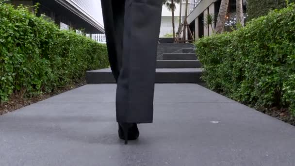 Business Woman Legs In Black High Heel Shoes Walking Along Corridor with Greens — Stock video