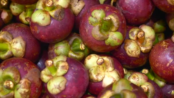 Close Up of Fresh Organic Mangosteen Ovoce v supermarketu v Bangkoku, Thajsko — Stock video