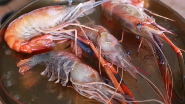 Crevettes King fraîches frites au beurre dans une casserole en métal dans un restaurant coréen en plein air — Video