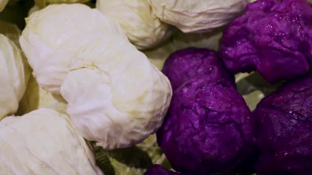 White and Purple Cabbage on the Shelves of the Grocery Store — Stock Video