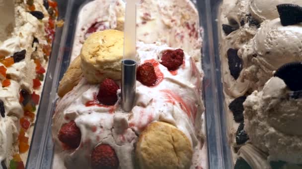 Classic Italian Gourmet Fruit and Cookies Flavor Gelato Display in Shop — Stock Video