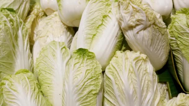 Świeża zielona kapusta chińska na sprzedaż na rynku warzyw — Wideo stockowe