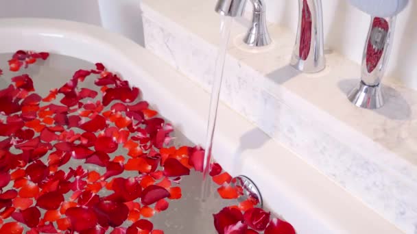 Close Up van het water stromen uit kraan in bad met rode roos bloemblaadjes — Stockvideo