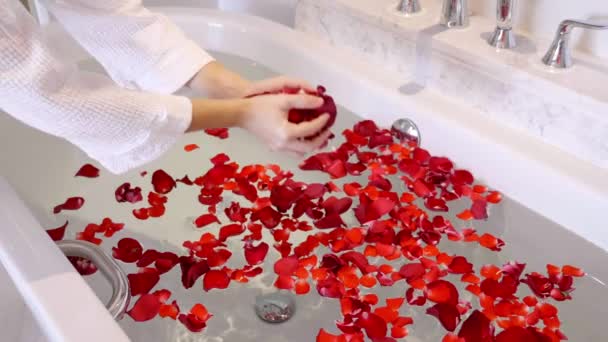 Women Hands in Bathrobe Scattering Flower Red Petals on Bathtub — Stock Video