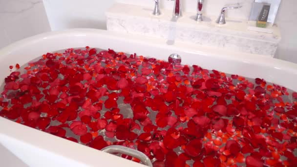 Baño con Bañera Llena de Pétalos de Rosa Rojos en Hotel de Lujo — Vídeos de Stock