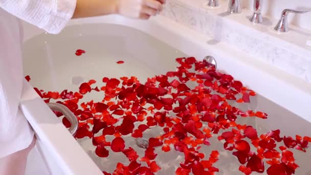 Las mujeres mano en el albornoz gota pétalos de rosa roja en el baño lleno de agua clara — Vídeo de stock