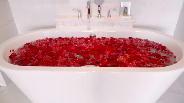 Łazienka z wanną Wypełniona płatkami czerwonej róży w luksusowym hotelu — Wideo stockowe