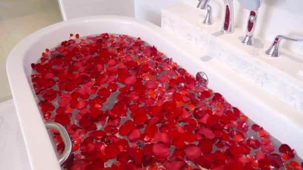 Salle de bains en marbre moderne avec baignoire rempli pétales de fleurs rouges pour se détendre — Video