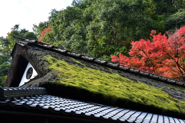 背景には美しい紅葉が美しい苔むした和室の屋根があります 嵯峨野京都日本 — ストック写真