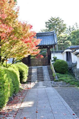 Tapınağa açılan fayanslı çatılı eski bir kapı manzarası ve etrafındaki sonbahar yaprakları. Kyoto