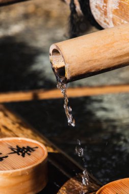 Japon bahçesinde bir su kabı resmi. Ohara Kyoto 