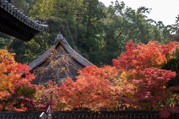 Nanzenji temple framed by beautiful autumn maple.   Higashiyama  Kyoto
