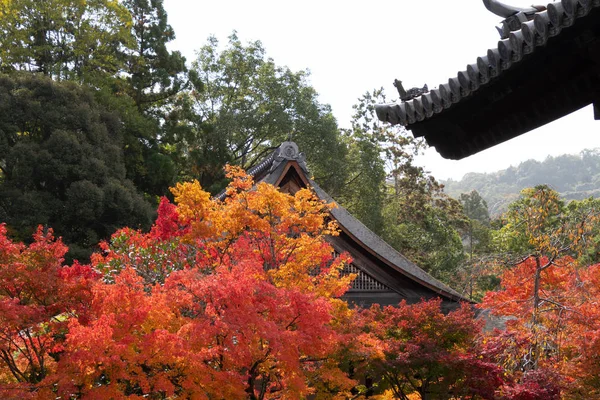 Nanzenji Tempel Omlijst Door Prachtige Herfst Esdoorn Higashiyama Kyoto — Stockfoto