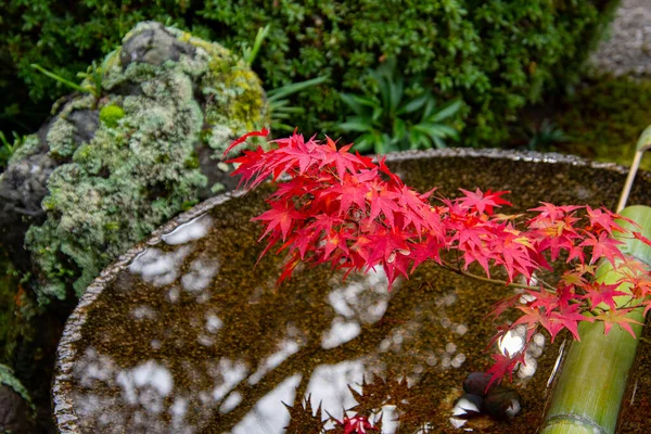 Ein Bild Einer Wasserschale Einem Japanischen Garten Über Der Ein — Stockfoto