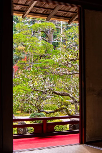 Красивые Пейзажи Осеннего Сада Видны Задней Части Гостевой Комнаты Японском — стоковое фото