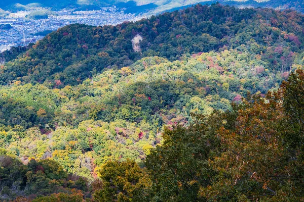 山の秋の色を表示し始めた — ストック写真