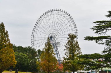 Kızıl At Osaka Wheel 'in bir görüntüsü. Osaka, Japonya - 27 Kasım 2019