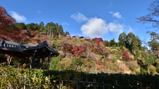 Timelapse Rolling Clouds Yoshiminedera Temple Kyoto — Stockvideo