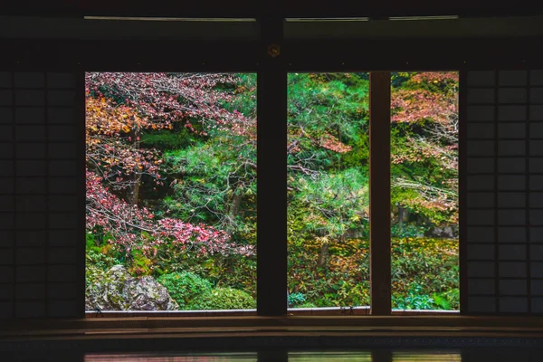 Kleurrijk Herfstlandschap Achter Deur Contrasteert Sterk Met Het Donkere Interieur — Stockfoto