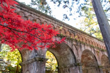 Bir su kemeri ve parlak kırmızı akçaağaç yaprakları. Kyoto