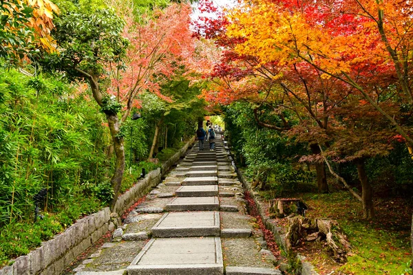 An approach to Kodaiji temple  framed by vibrant fall colours.   Kyoto