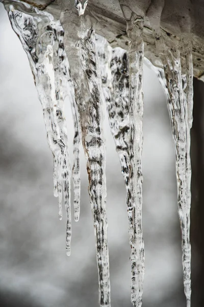 A picture of icicles hanging down from a structure outdoor.   Vancouver BC Canada