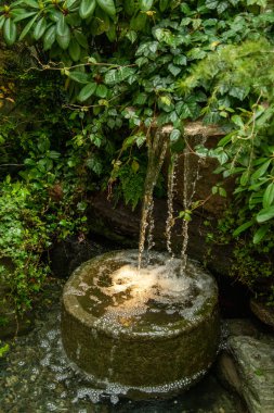 Bahçede dekoratif su kasesi. BC Kanada
