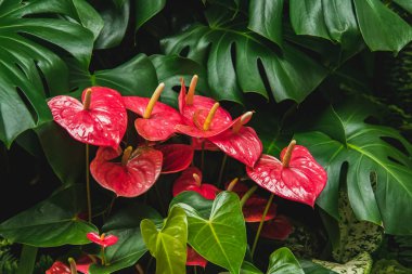 A time lapse movie of Victorias inner-harbour pathway  at night.   Victoria  BC  Canada