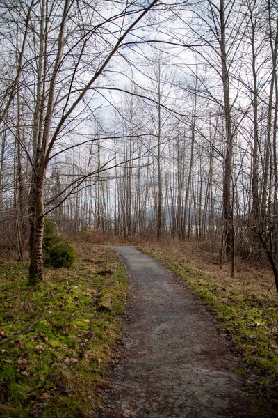 Uma Foto Promenade Inverno Vancouver Canadá — Fotografia de Stock