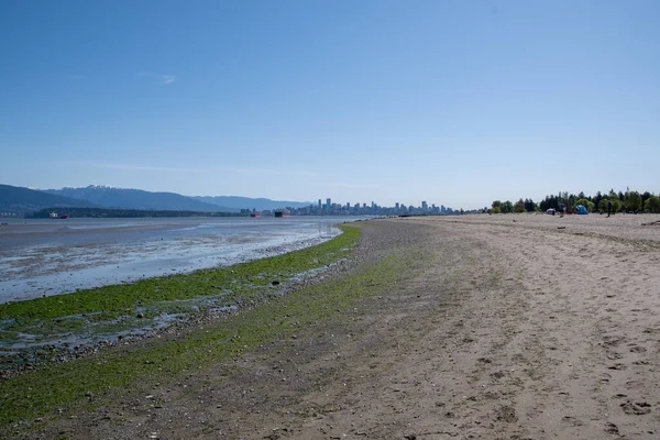 Een Kustlijn Van Spaanse Banken Bij Vancouver Canada — Stockfoto