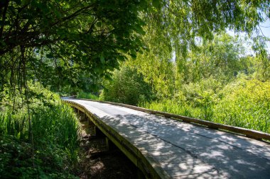 Gölün etrafında sahil yolu var. Vancouver BC Kanada 