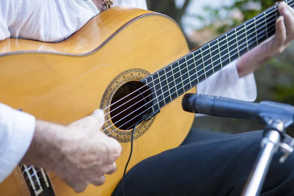 Oynayan İspanyol Flamenko gitaristi — Stok fotoğraf