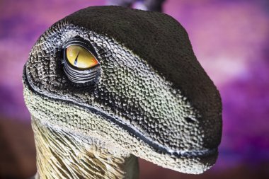 Realistic model of Velociraptor dinosaur clipart