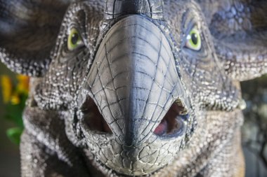 Triceratops dinozor gerçekçi bir model