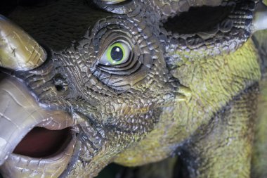 Triceratops dinozor gerçekçi bir model
