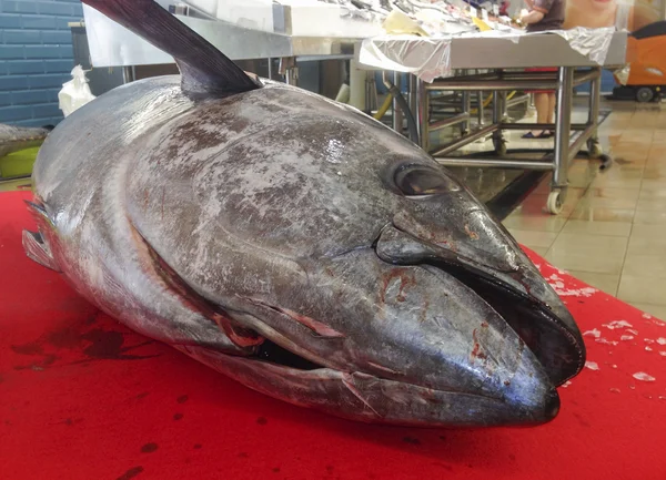 在鱼市场的全巨大的新鲜红金枪鱼 — 图库照片