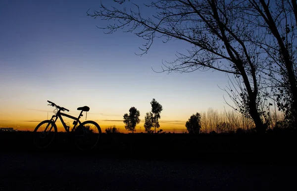 青い空に夕日を nder ツリーでマウンテン バイクのシルエット — ストック写真