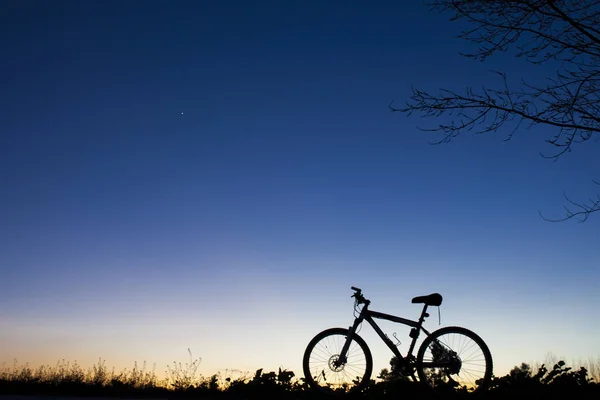 青い空に夕日を nder ツリーでマウンテン バイクのシルエット — ストック写真