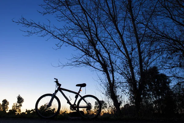 青い空に夕日を nder ツリーでマウンテン バイクのシルエット — ストック写真